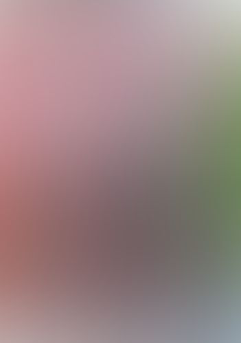 ゼロの使い魔 (16) ド・オルニエールの安穏