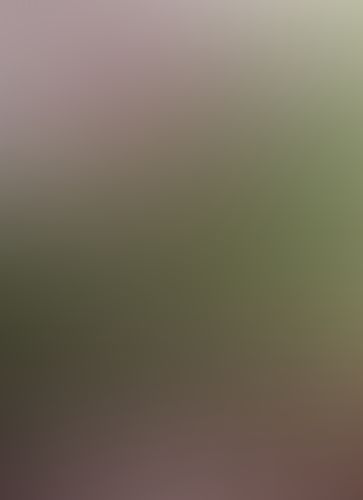 ムシウタ 00.夢の始まり