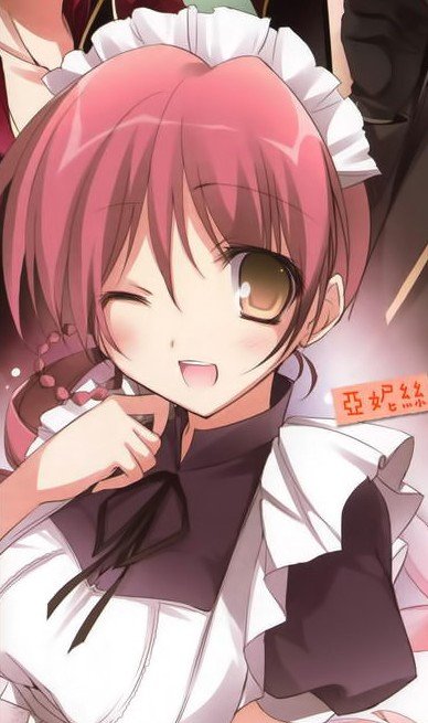 アニス