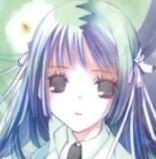左乙女葵