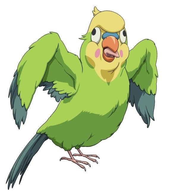 インコちゃん