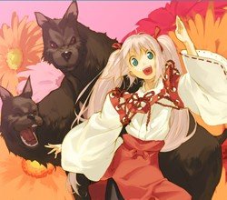 葛城みかん