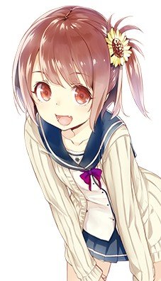 日向葵